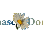 logo Rinasco Donna con un amargherita al centro